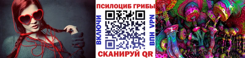 купить наркотик  Малаховка  Галлюциногенные грибы Cubensis 