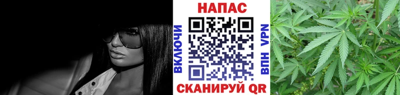 где продают   Малаховка  Шишки марихуана Bruce Banner 